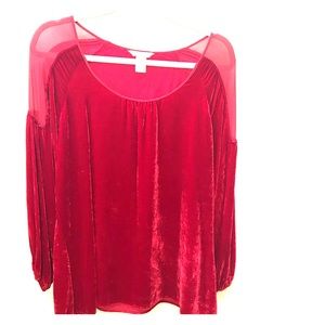 Sundance Velvet Top with Sheer Shoulder detailing